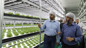 Challenges Of Vertical Farming