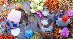 The Concept of Food Security and Its Importance for Global Stability