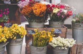 Flowers Post-Harvest Handling