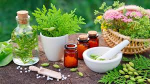 Things You Should Know About Medicinal Plants Things You Should Know About Medicinal Plants