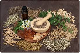 History and Uses of Herbal Remedies Herbal Remedies