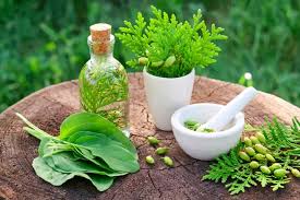 History and Uses of Herbal Remedies Herbal Remedies