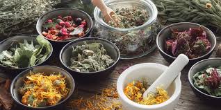 History and Uses of Herbal Remedies Herbal Remedies