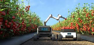 How Agricultural Robotics is Transforming Modern Farming