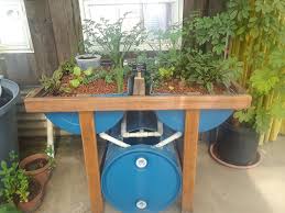 Diy Aquaponics System