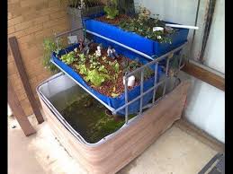 Diy Aquaponics System