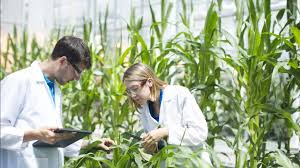 Agricultural Biotechnology