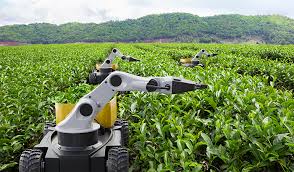 AI/ML and Data Science in Agriculture Technology