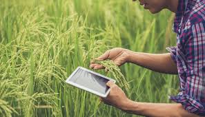 AI/ML and Data Science in Agriculture Technology