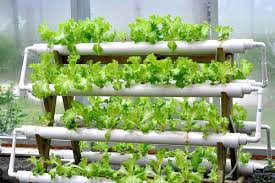 How To Build A Hydroponic System