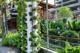 Hydroponic Systems For Beginners