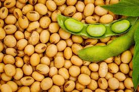 Is Soya Beans Powder Good For Diabetics?