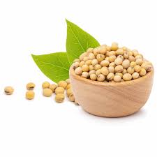 Benefits Of Soya Beans Powder For Menopause