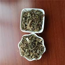 How to Prepare Sida Acuta Tea: A Step-by-Step Guide