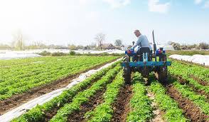 Crop Rotation Systems For Sustainable Agriculture