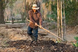 Organic Cropping Systems Practices