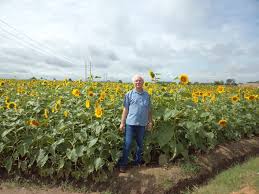 Integrated Cropping Systems For Pest Management