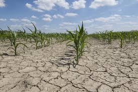 Soil Degradation Due to Continuous Cropping