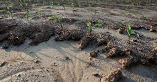 Soil Degradation Due to Continuous Cropping