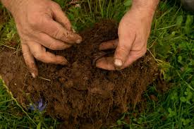 Sustainable Continuous Cropping Systems in Farming Sustainable Continuous Cropping Systems in Farming