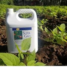 Super Gro Fertilizer for Better Crop Yield