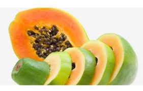 Pawpaw Fruit Medicinal Uses