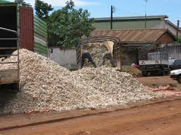 How to process cassava for poultry feed