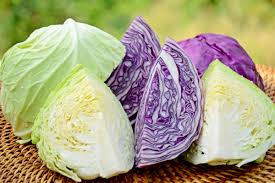 Cabbage History