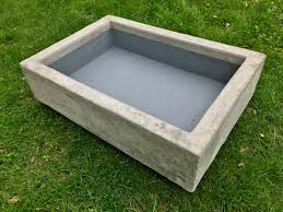 Advantages and Disadvantages of Concrete Pond for Fishes