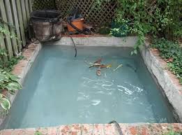 Advantages and disadvantages of concrete pond