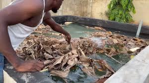 Treatment Of Concrete Pond Before Stocking