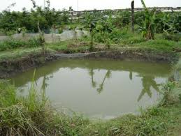 Difference between earthen pond and concrete pond