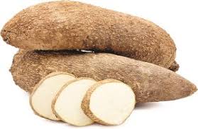 Complete Guide on Yam Flour Production