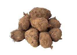 Uses and Benefits of Cocoyam