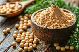 Les Fèves De Soja En Poudre Pour La Musculation