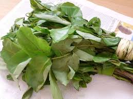 Les utilisations et les Avantages de l'Oha Feuille