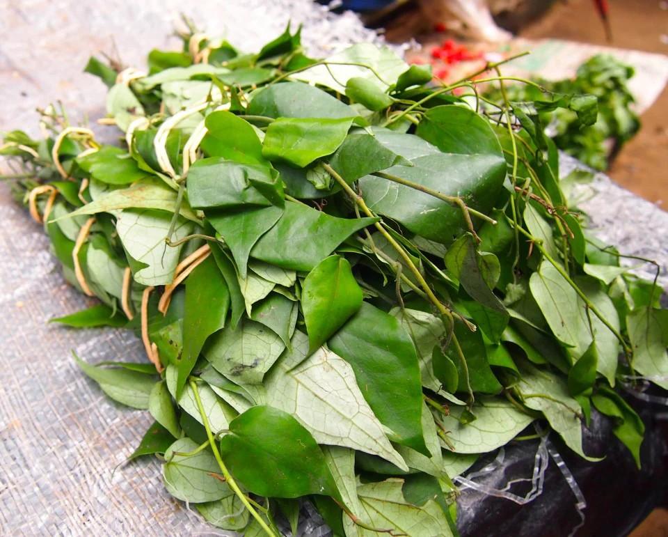 Amazing Health Benefits of Uziza Leaf