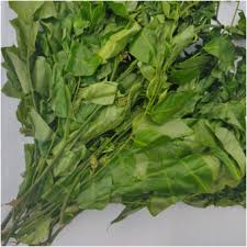 Ukazi Feuille d'Avantages et de Composition Nutritionnelle