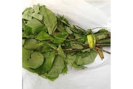 Health Benefits Of Oha Leaf