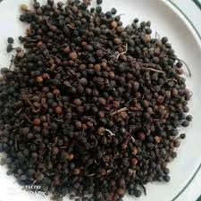 Health Benefits and Uses of Uziza Seeds (Piper guineense)