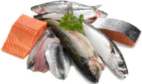 Essentials of Fish Nutrition: Building Healthy Aquaculture Practices