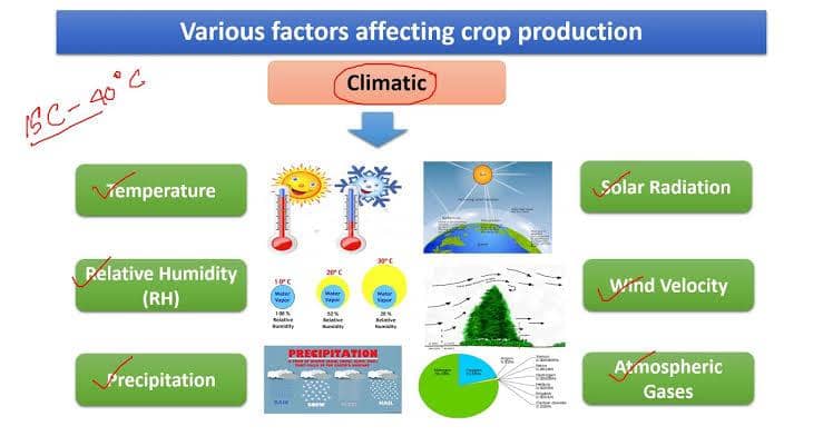 Historical Development of Crop Production