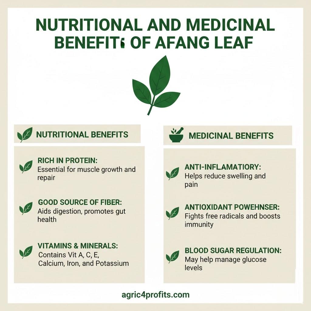 Nutritional and Medicinal Benefits of Afang Leaf