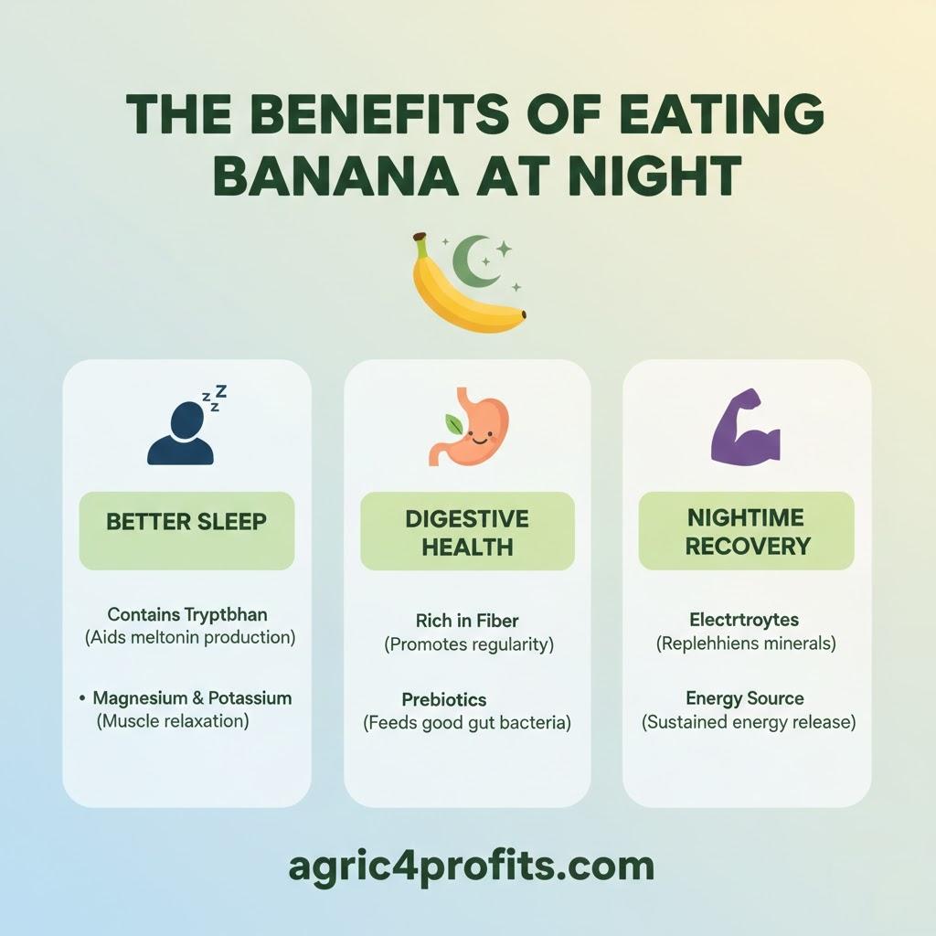 The Benefits of Eating Banana at Night