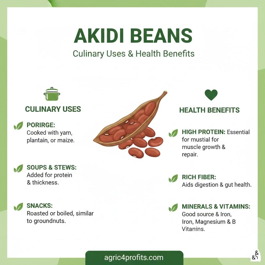 Culinary Uses and Health Benefits of Akidi Beans