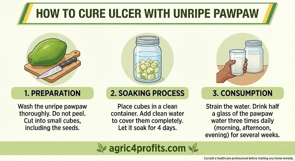 How to cure ulcer with unripe pawpaw