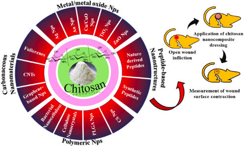 Sida acuta Nutritional Properties: A Natural Source of Essential Nutrients