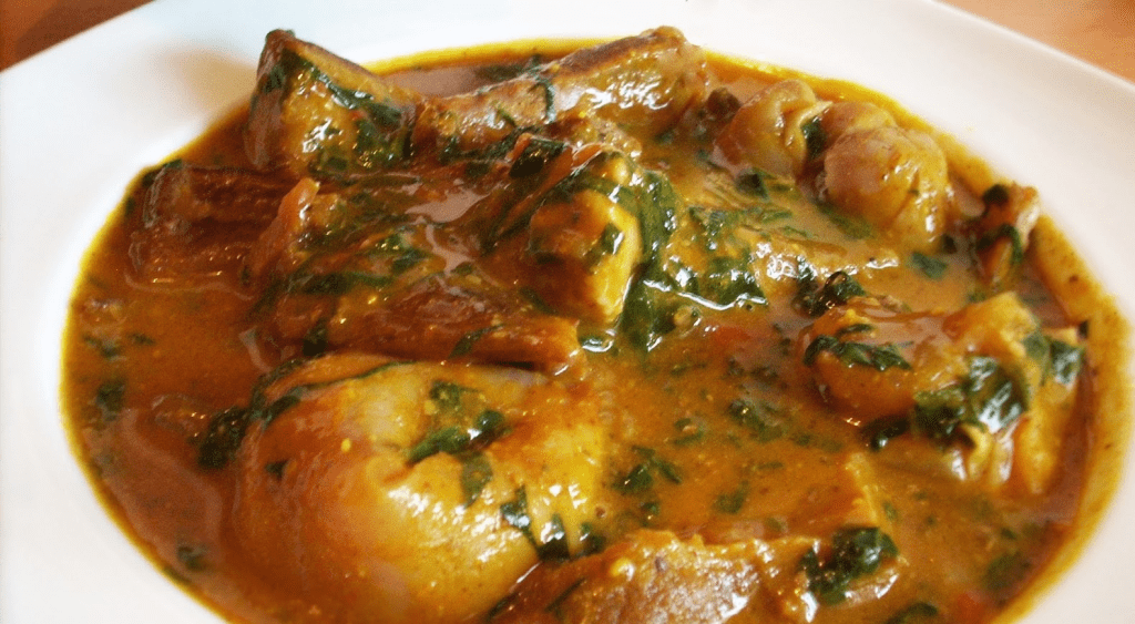 Ogbono Plant and Weight Loss Benefits