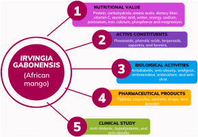 Ogbono Plant and Weight Loss Benefits