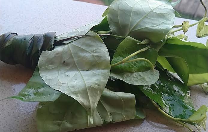 Amazing Health Benefits of Uziza Leaf